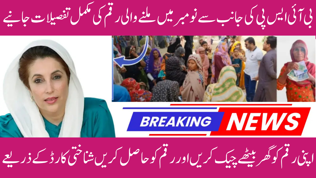 BISP Payment November Districts