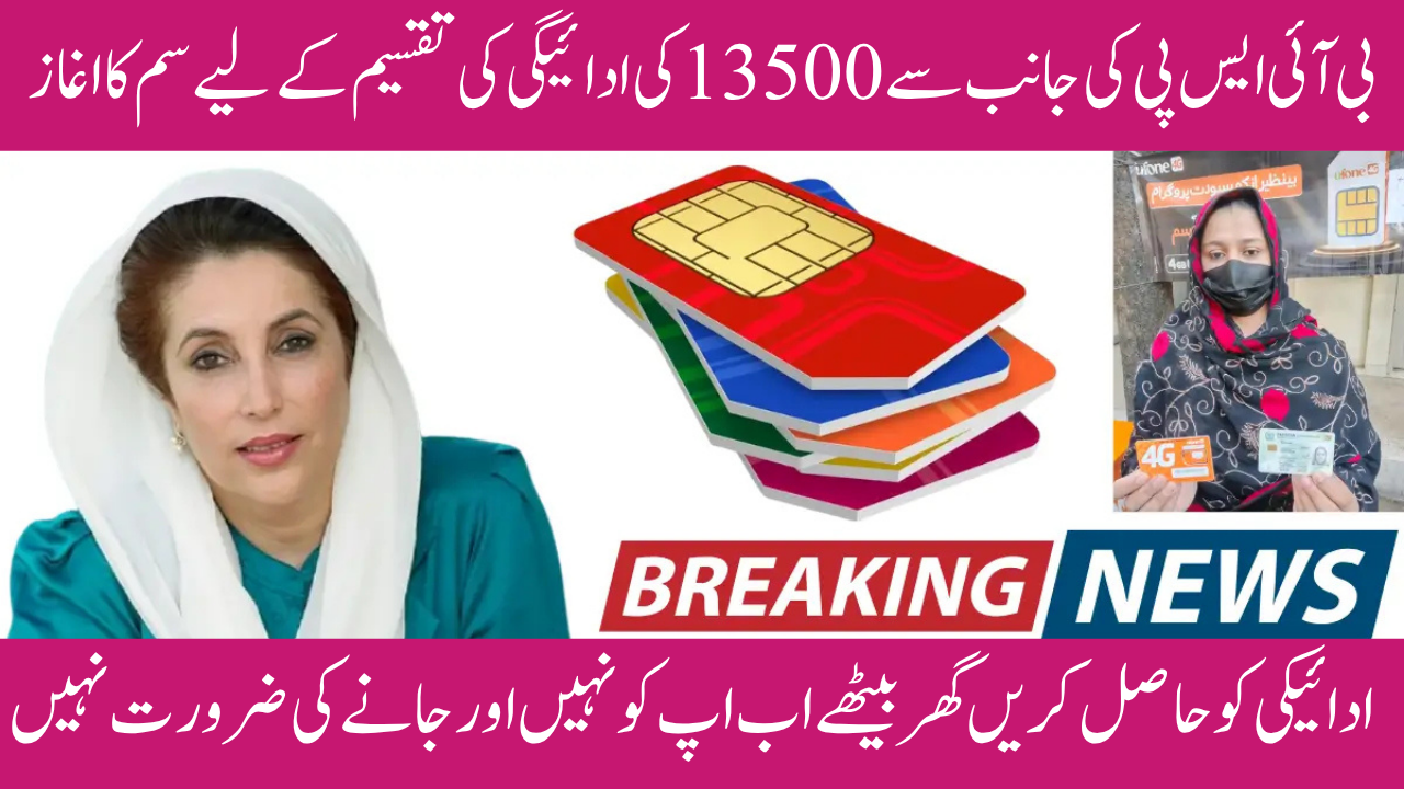 BISP Wallet Sim 8171 Activation