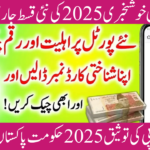 BISP Validation 2025: Easy Guide to Check Eligibility and Payment Status Online