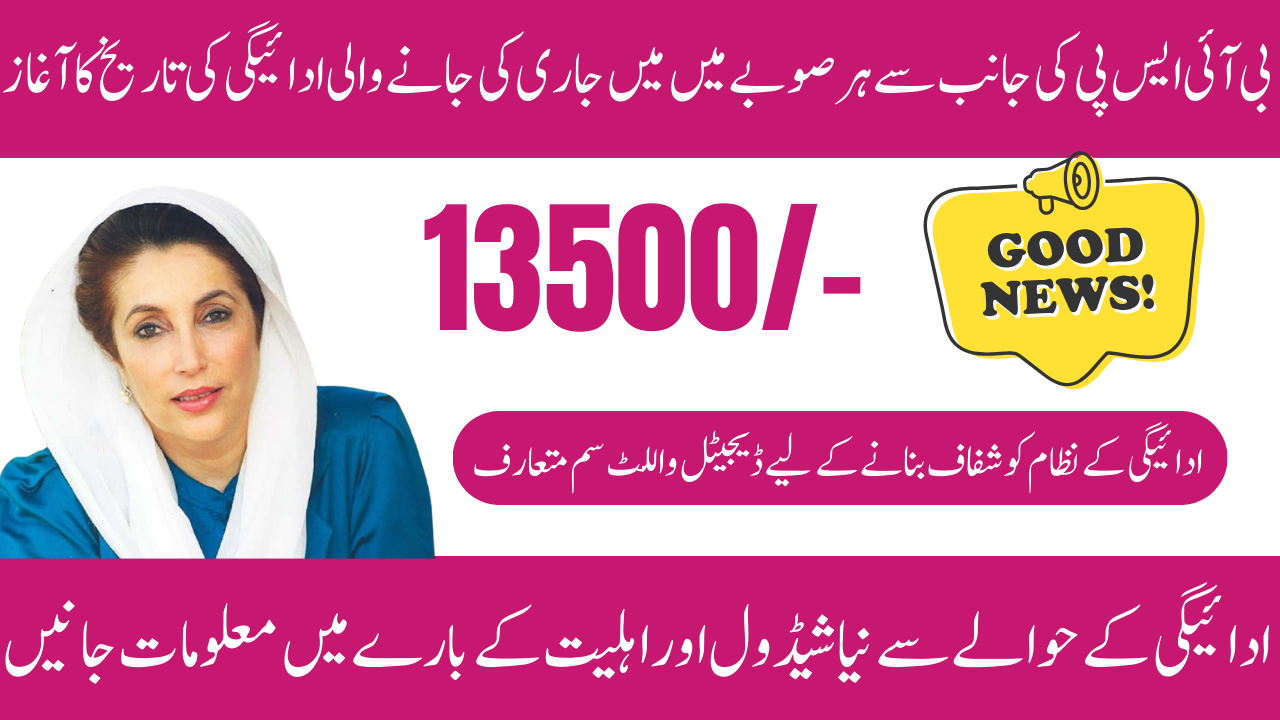 BISP Monitoring Teams and Payment