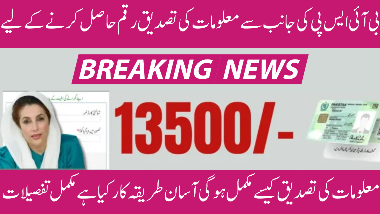 BISP 8171 Payment CNIC Verification