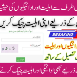 SMS Portal for BISP 8171 Eligibility Check for 13500 Payment