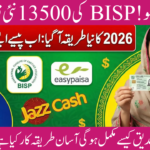 BISP 13500 Qist Method and Common Issues